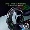 Razer Electra V2 PC/PS4 Analog Gaming Headset