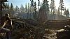 Days Gone PS4